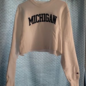 Michigan University Cropped Sweatshirt